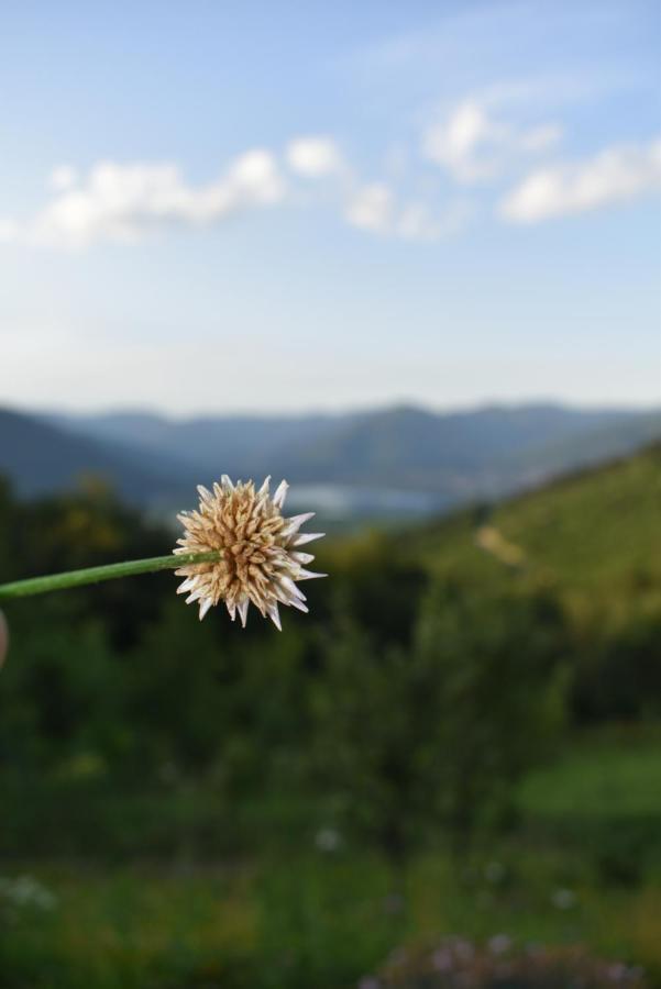 Grandfather'S Place Budevice Plav Bagian luar foto
